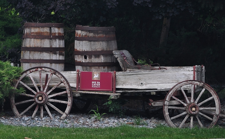 horse cart with wine barrels